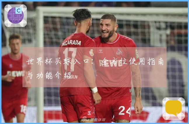 世界杯买球入口：全方位使用指南与功能介绍