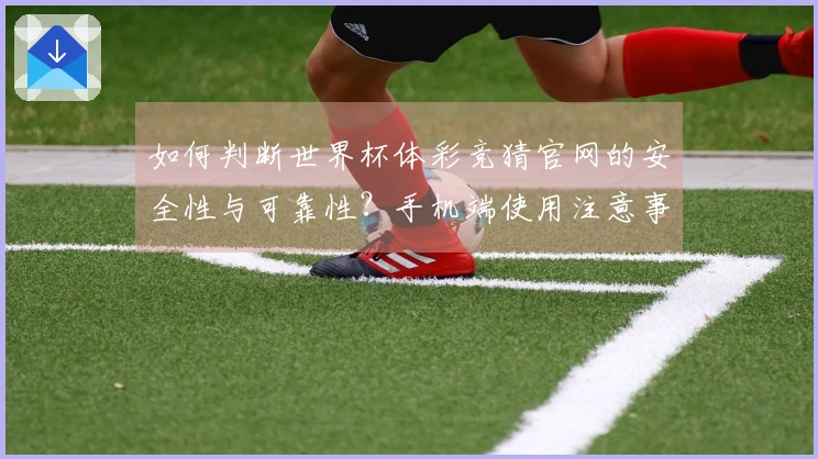 如何判断世界杯体彩竞猜官网的安全性与可靠性?手机端使用注意事项揭秘