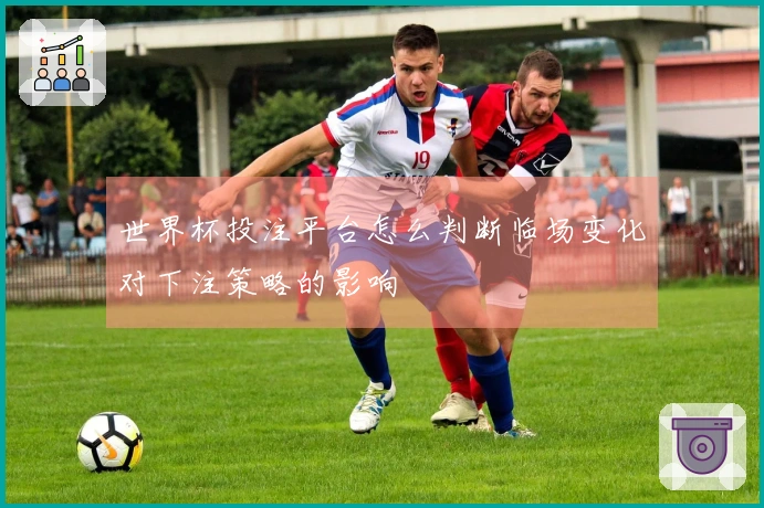 世界杯投注平台怎么判断临场变化对下注策略的影响