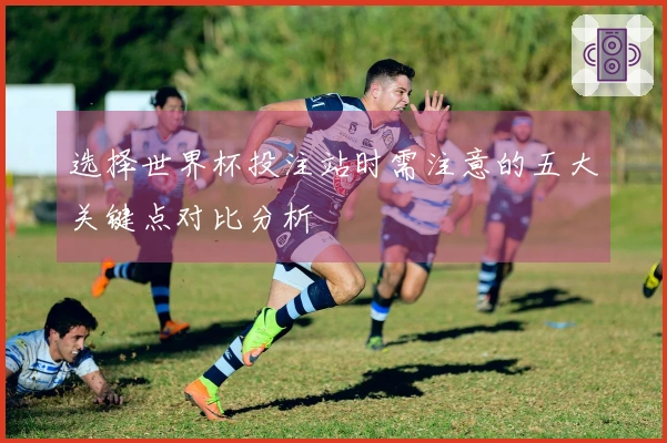 选择世界杯投注站时需注意的五大关键点对比分析