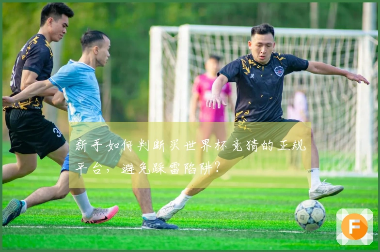新手如何判断买世界杯竞猜的正规平台,避免踩雷陷阱?