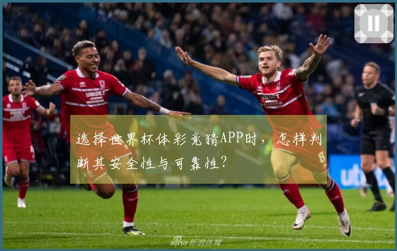 选择世界杯体彩竞猜APP时，怎样判断其安全性与可靠性？