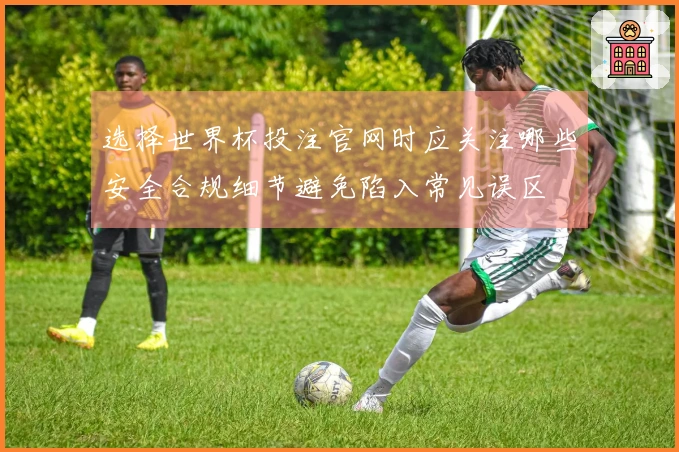 选择世界杯投注官网时应关注哪些安全合规细节避免陷入常见误区