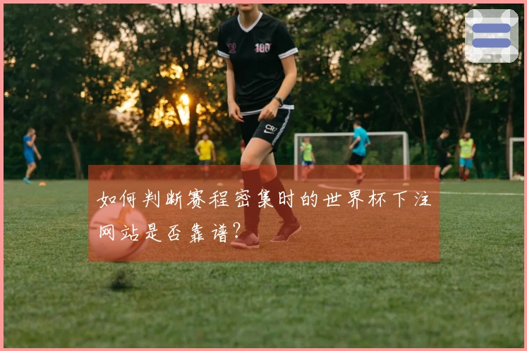 如何判断赛程密集时的世界杯下注网站是否靠谱？