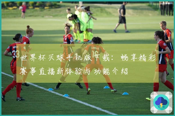 世界杯买球手机版下载：畅享精彩赛事直播新体验与功能介绍