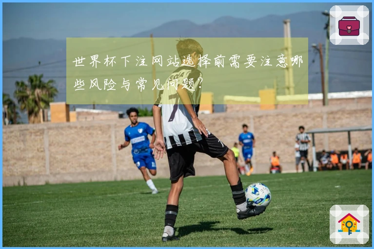 世界杯下注网站选择前需要注意哪些风险与常见问题？