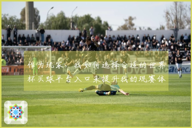 作为玩家，我如何选择合适的世界杯买球平台入口来提升我的观赛体验