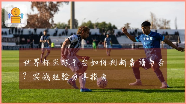 世界杯买球平台如何判断靠谱与否?实战经验分享指南