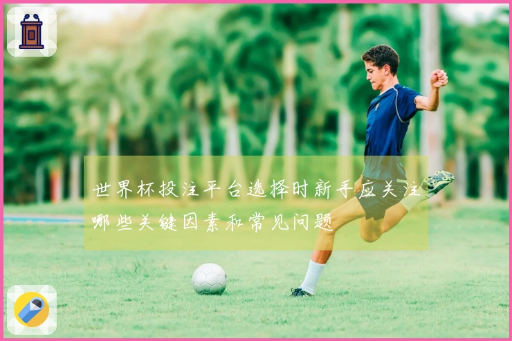 世界杯投注平台选择时新手应关注哪些关键因素和常见问题