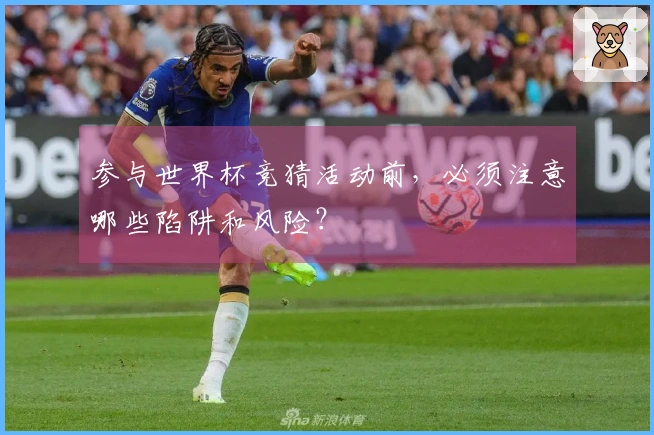参与世界杯竞猜活动前，必须注意哪些陷阱和风险？