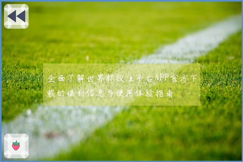 全面了解世界杯投注平台APP官方下载的福利信息与使用体验指南