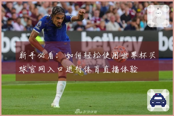 新手必看：如何轻松使用世界杯买球官网入口进行体育直播体验