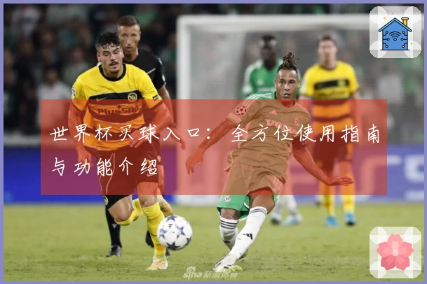 世界杯买球入口：全方位使用指南与功能介绍